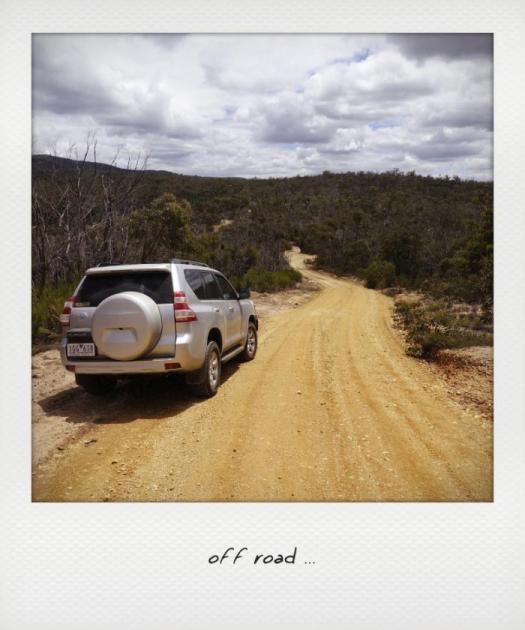 off road - 1_instant